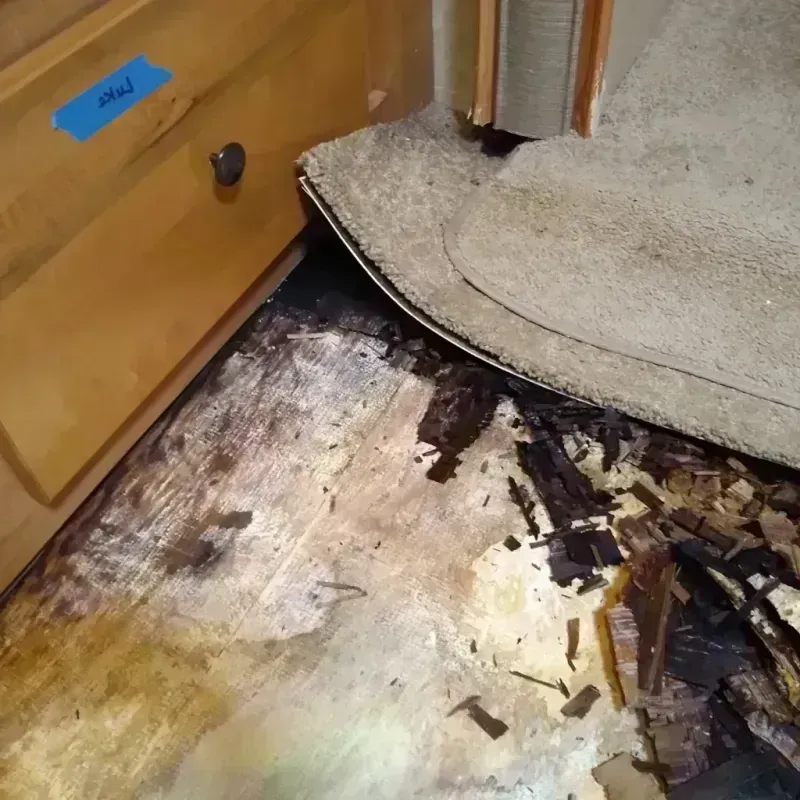 Wood Floor Water Damage in Lake Worth, TX